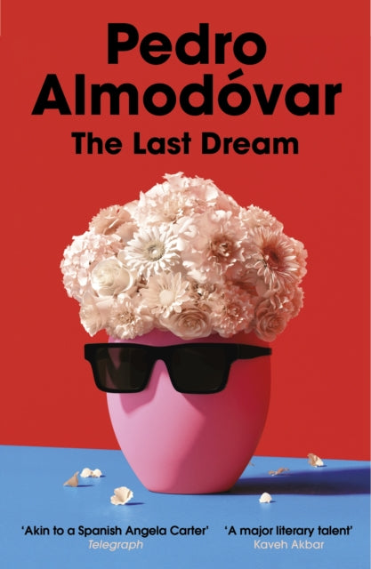 Front cover of The Last Dream by Pedro Almodovar, paperback