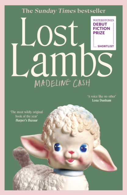Front cover of Lost Lambs by Madeline Cash, hardback