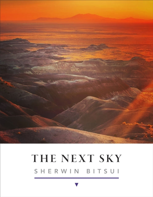 The Next Sky - Sherwin Bitsui