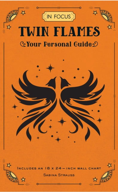 Front cover of In Focus Twin Flames by Sabina Strauss, hardback
