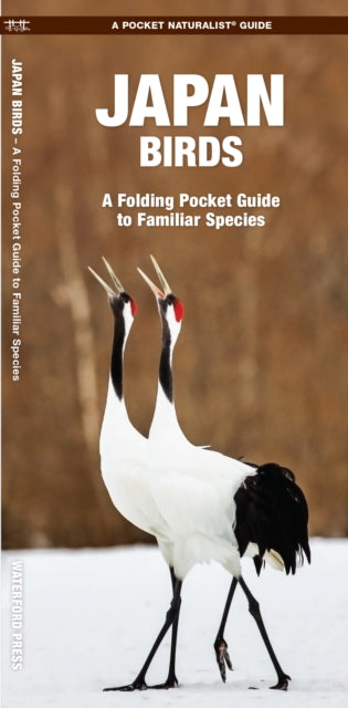 Japan Birds : A Folding Pocket Guide to Familiar Species - James Kavanagh