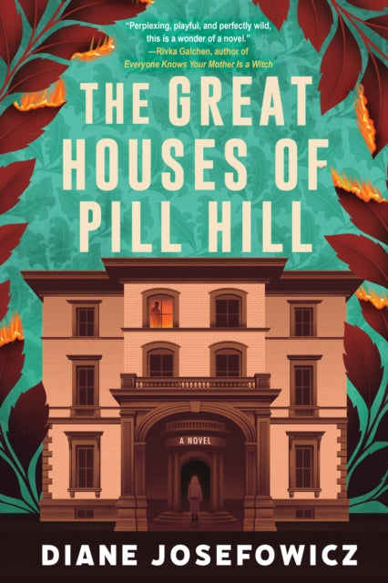 Front cover of The Great Houses of Pill Hill by Diane Josefowicz, hardback