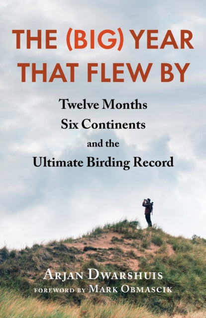 Front cover of The (Big) Year that Flew By by Arjan Dwarshuis, paperback