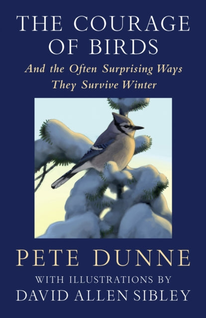 Front cover of The Courage of Birds by David Allen Sibley, hardback