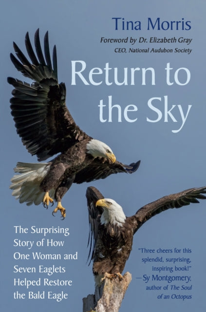 Front cover of Return to the Sky by Tina Morris, hardback