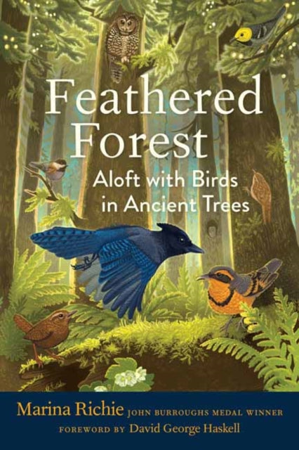 Feathered Forest : Aloft with Birds in Ancient Trees - David George Haskell