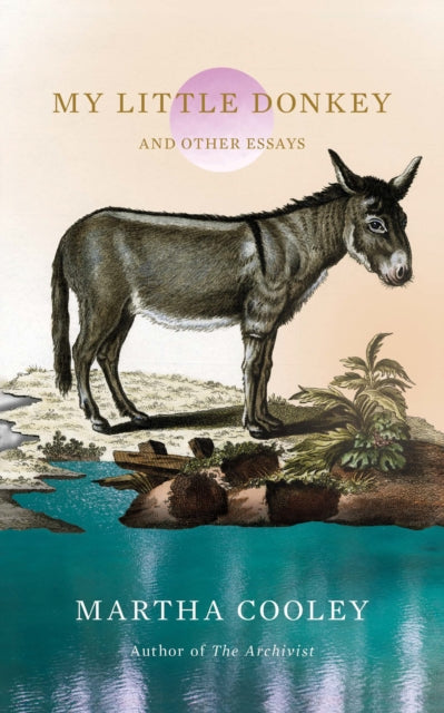 My Little Donkey : And Other Essays - Martha Cooley