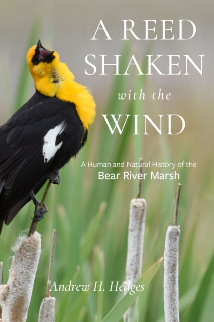 A Reed Shaken with the Wind : A Human and Natural History of the Bear River Marsh - Andrew H. Hedges