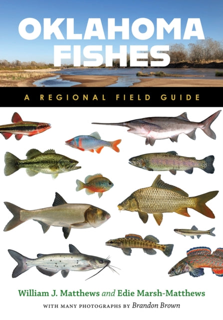 Oklahoma Fishes : A Regional Field Guide - William J. Matthews