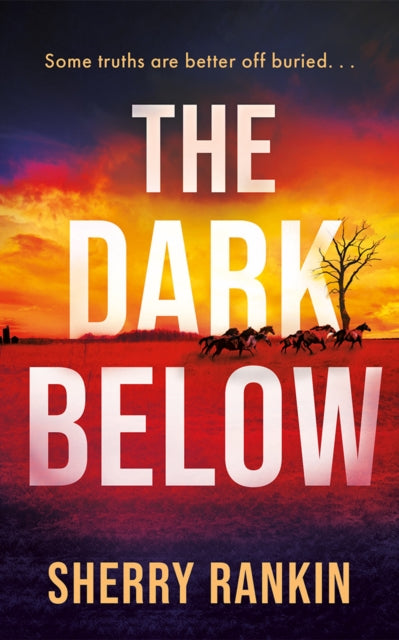 Front cover of The Dark Below by Sherry Rankin, paperback