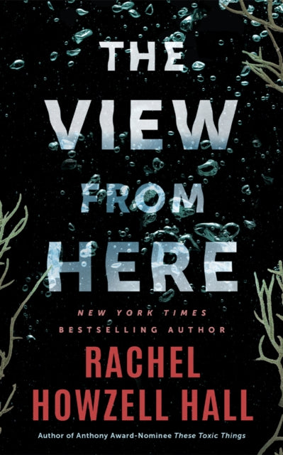 The View from Here : A Thriller - Rachel Howzell Hall