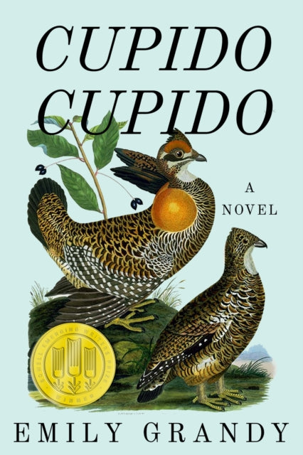 Cupido Cupido : A Novel - Emily Grandy