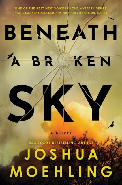 Beneath a Broken Sky : A Novel - Joshua Moehling