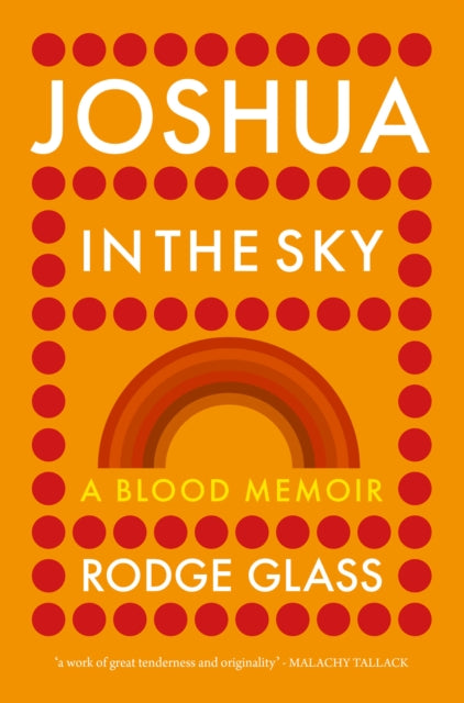 Front cover of Joshua in the Sky by Rodge Glass, hardback