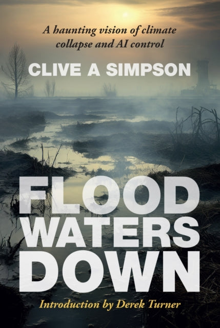 Flood Waters Down - Clive A Simpson