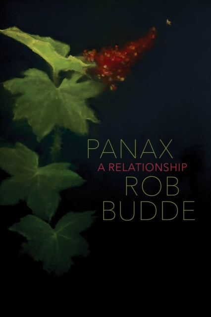 Panax : A Relationship - Rob Budde