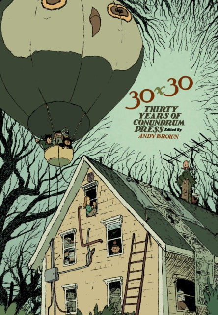 30x30 : Thirty Years of Conundrum Press - Andy Brown