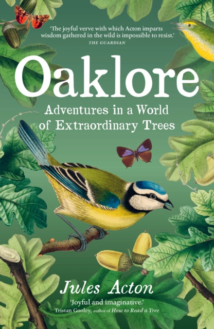 Oaklore : Adventures in a World of Extraordinary Trees - Jules Acton