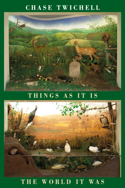 Things as It Is | The World It Was - Chase Twichell