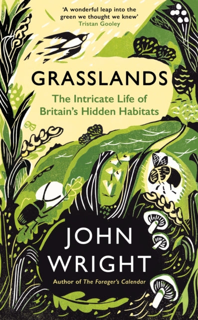 Grasslands : The Intricate Life of Britain's Hidden Habitats - John Wright