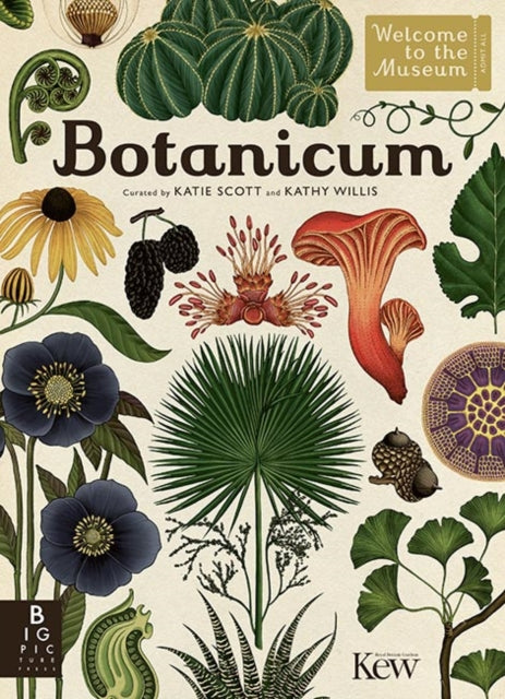 Botanicum - Katie Scott Limited