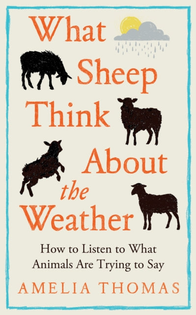 What Sheep Think About the Weather : How to listen to what animals are trying to say - Amelia Thomas