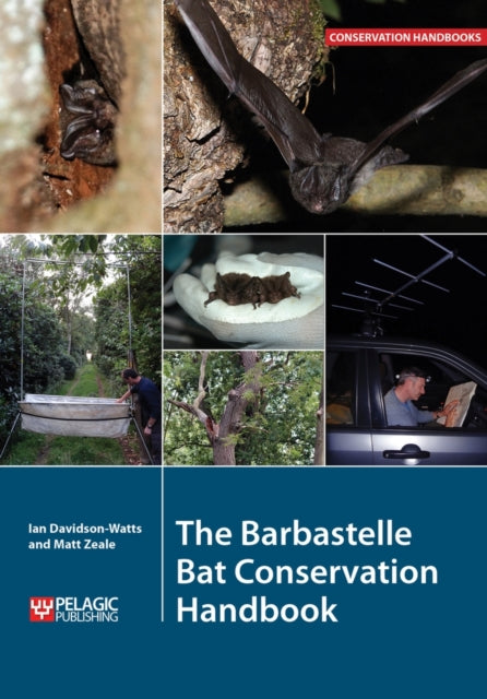 The Barbastelle Bat Conservation Handbook - Matt Zeale