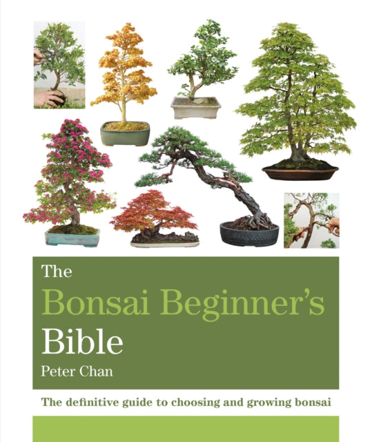 The Bonsai Beginner's Bible : The definitive guide to choosing and growing bonsai - Peter Chan