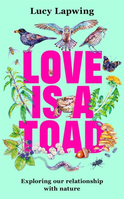 Front cover of Love Is A Toad by Lucy Lapwing, hardback