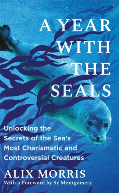 A Year with the Seals : Unlocking the Secrets of the Sea's Most Charismatic and Controversial Creatures - Alix Morris