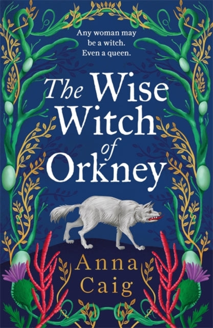 The Wise Witch of Orkney : A spell-binding debut novel about Scotland's witch-hunting hysteria - Anna Caig
