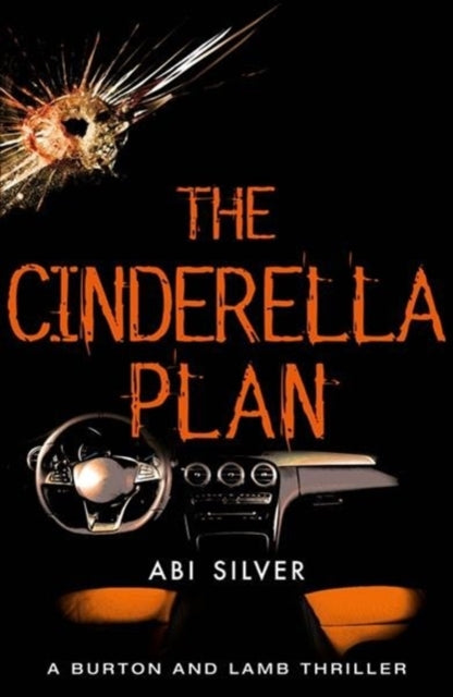 Front cover of The Cinderella Plan by Abi Silver, paperback