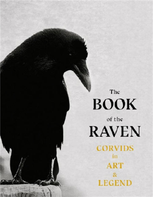 Front cover of The Book of the Raven by Angus Hyland, paperback