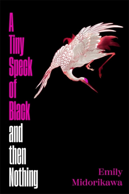 A Tiny Speck of Black and Then Nothing : Winner of the Lucy Cavendish Prize for Fiction - Emily Midorikawa