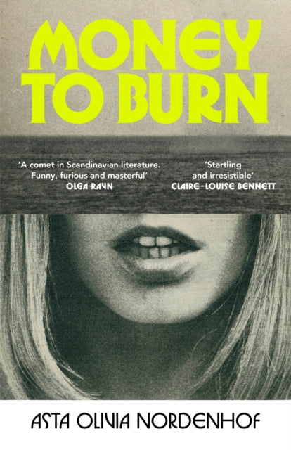 Front cover of Money to Burn by Caroline Waight, hardback