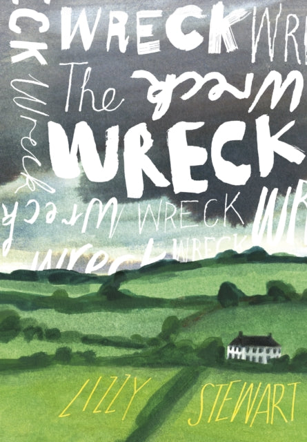 Front cover of The Wreck by Lizzy Stewart, hardback