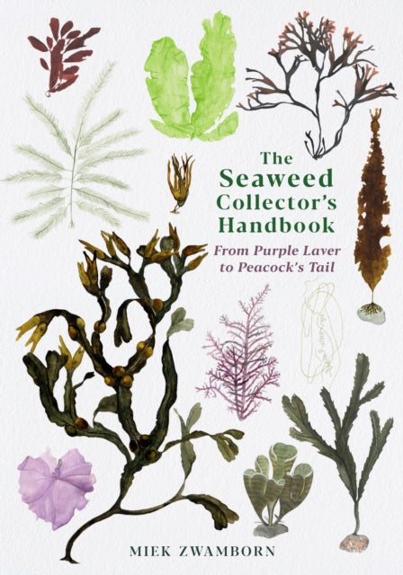 The Seaweed Collector's Handbook : From Purple Laver to Peacock's Tail - Michele Hutchison