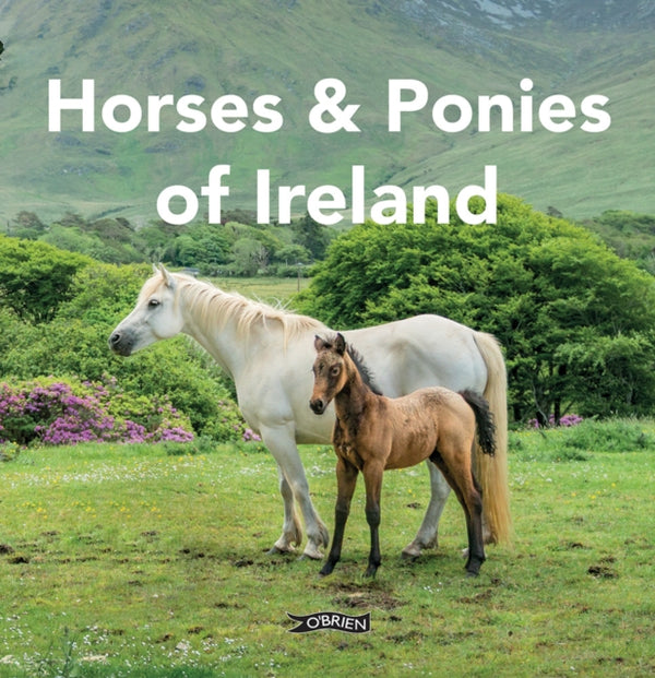 Horses and Ponies of Ireland - Sarah O'Connor