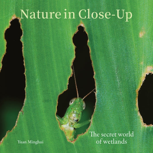 Nature in Close-Up : The secret world of wetlands - Yuan Minghui