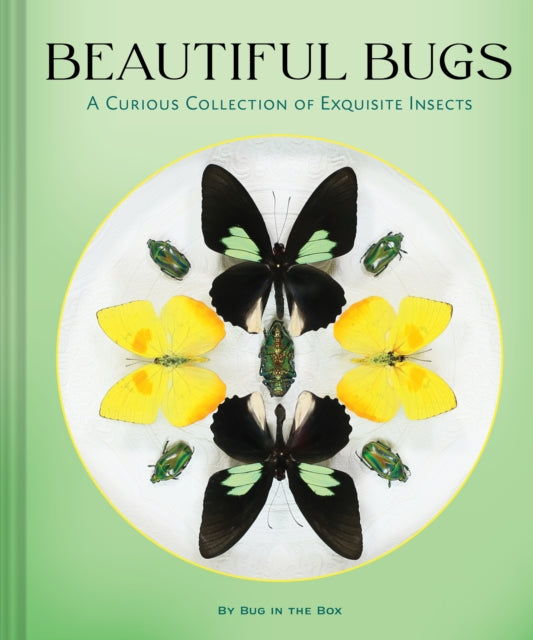 Beautiful Bugs : A Curious Collection of Exquisite Insects - Bug in the Box