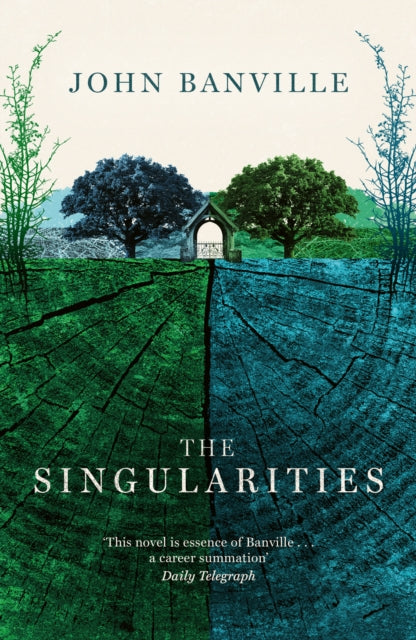 The Singularities - John Banville
