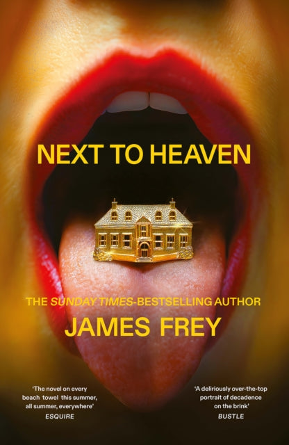 Next to Heaven : The PROVOCATIVE new novel from BESTSELLING author of A Million Little Pieces - James Frey