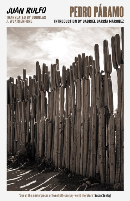 Front cover of Pedro Paramo by Douglas J. Weatherford, paperback