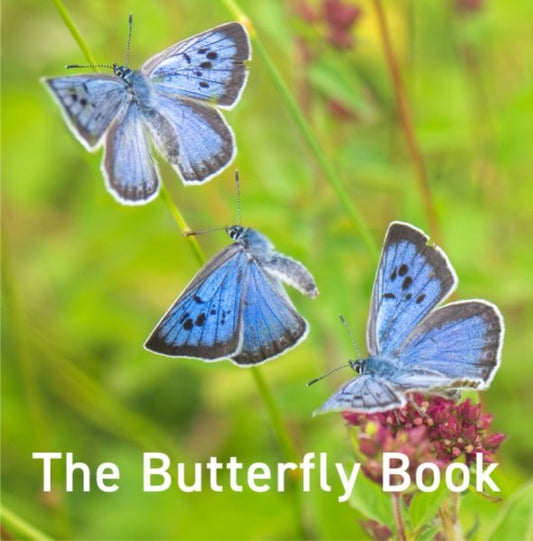 Front cover of Nature Book Series: The Butterfly Book by Jane Russ, hardback