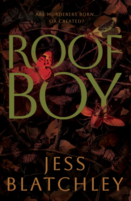Roofboy - Jess Blatchley