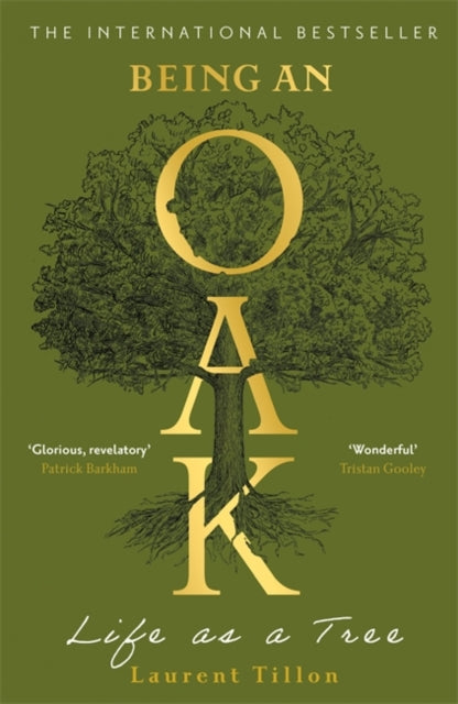 Being an Oak : Life as a tree - Laurent Tillon