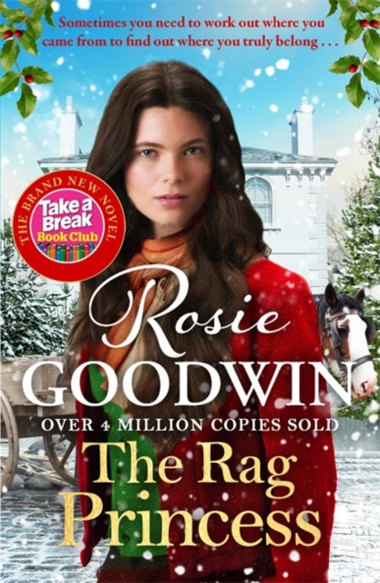 Front cover of The Rag Princess by Rosie Goodwin, paperback
