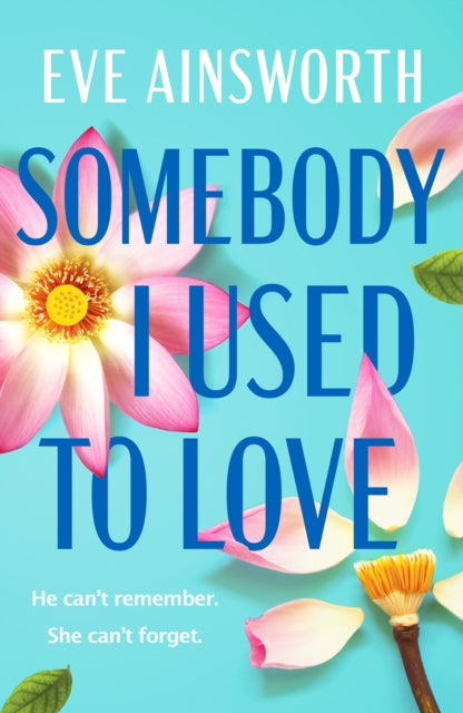 Front cover of Somebody I Used to Love by Eve Ainsworth, paperback