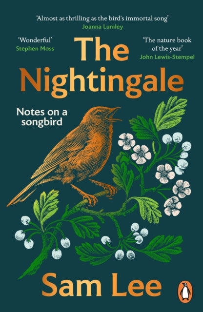 Front cover of The Nightingale by Sam Lee, paperback