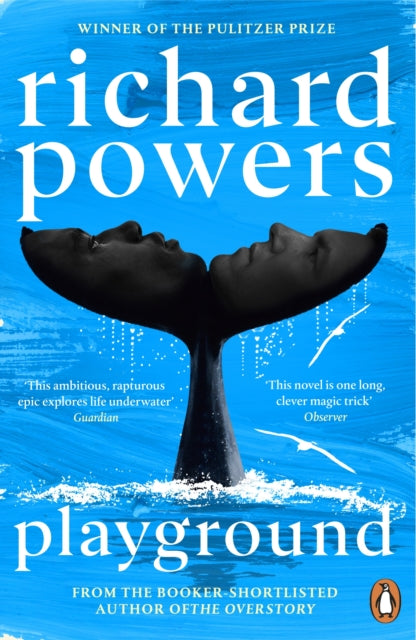 Front cover of Playground by Richard Powers, paperback